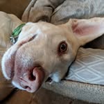 Robin Hull - @44janest - Instagram