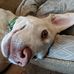 Robin Hull - Facebook