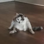 Robin Hull-Richardson - @robinhullrichardson123 - Instagram