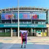 Robin 🐦 - @robinthehuman - TikTok