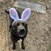 Robin Hurt - Facebook