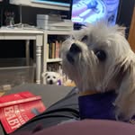 Robin Huston - @houseoftinybeans - Instagram