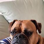 Robin Hynes - @hynes1000 - Instagram