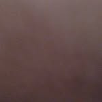 Robin Singh - @robinjandala - Instagram