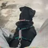 jasper🫡 - @jasper.robinso - TikTok