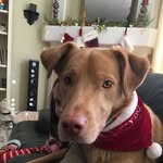 Robin Jeter Doerfler - @robinjeterdoerfler - Instagram