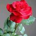 Robin John - Facebook