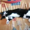 Robin Joly - @robin.joly0 - TikTok