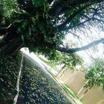 @robin_jolyj - Instagram