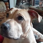 Robin Joos - @robin.joos.90 - Instagram