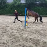 ROBIN🐴😜joos🥂 - @robinxjxi - Instagram