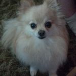 Robin Joslin - @rockinrobin59 - Instagram