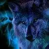 Robin Joslin - @robin.joslin - TikTok