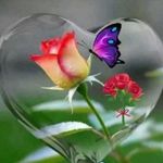 Robins - @robinjoslin001 - Instagram