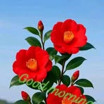 Robin Khan - Facebook