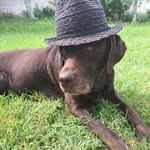 Robin Kasper - @robinkasper12 - Instagram