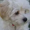Robin Kearns - @robin.kearns - TikTok