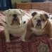 Robin Kearns - Facebook