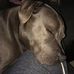 Robyn Kearns - Facebook