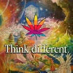 Robin Keen - @southern_stoner420xx - Instagram