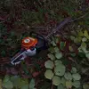 robin.finck - @robin.finck - TikTok