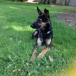 Robin Kessler - @petitproutizou - Instagram