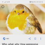 robin kidd - @r_j_k_2 - Instagram