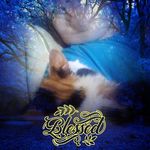 Robin Kidd - @robin.kidd.1044 - Instagram