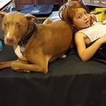 Robin Kimmel - @robinkimmel - Instagram