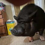 Robin Kingston - @robinkingston5 - Instagram