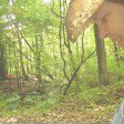 Robin Kinney - @robinkin522 - Instagram