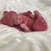 Robin Kinney Westbrook - Facebook