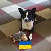 robinkinneywestbr - @robinkinneywestbr - TikTok