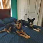 Robin Kirchhoff - @robin_kirchhoff - Instagram