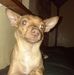 Robin Kirk - Facebook