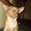 Robin Kirk - @robin.kirk0 - TikTok