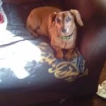 Robin Kirk Sndyder Ellis - @robin.kirk.sndyder.ellis - Instagram