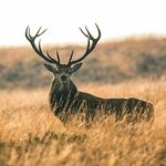 Robin Kirkland Photograph - @robin_kirkland_photography - Instagram