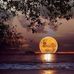 Robin Kirkendall - Facebook