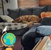 Robin Kirkhart - Facebook