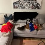 Robyn Kievit Kirkman - @massachusettsmaines - Instagram
