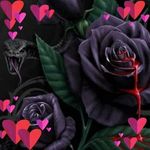 Robin Kirkpatrick - @robin.kirkpatrick.372 - Instagram