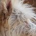 Robin Kirtley - Facebook