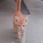 Robin Kiser - @reggie_is_my_baby - Instagram