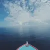 Robin Kitchen - @robin.kitchen - TikTok
