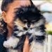 Robyn Cutler Klatt - Facebook