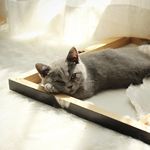 Robin and Klaus 🐈 - @cat.and.white - Instagram
