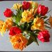 Robin Klaus - Facebook