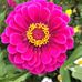 Robin Klaus - Facebook