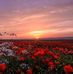 Robin Klaus - Facebook
